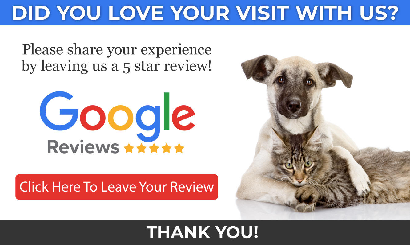Review Us in Franklin, NC | Animal House Veterinary Clinic